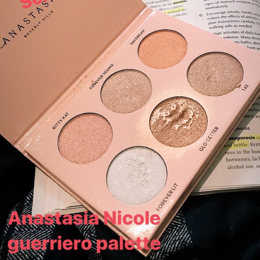 Anastasia Nicole gurriero palette